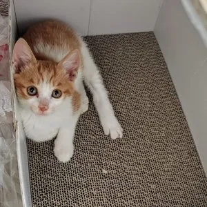 베스트 후기 이미지