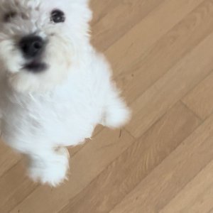 베스트 후기 이미지