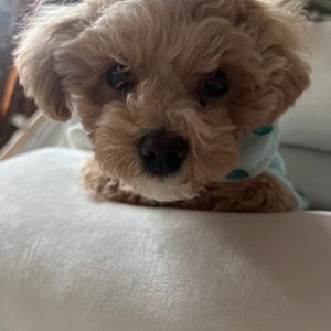 베스트 후기 이미지