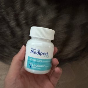 베스트 후기 이미지