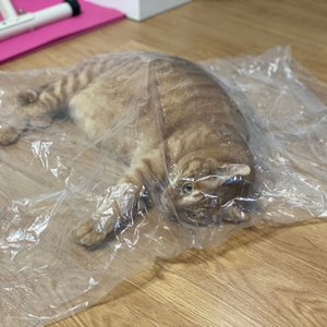 베스트 후기 이미지