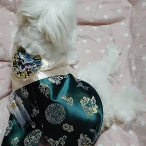 베스트 후기 이미지