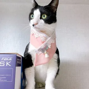 베스트 후기 이미지