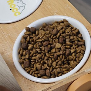 베스트 후기 이미지