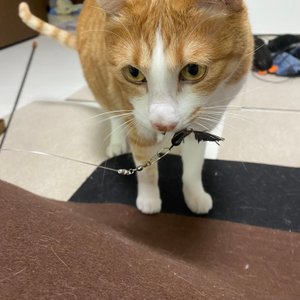 베스트 후기 이미지