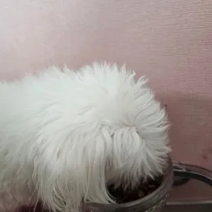 베스트 후기 이미지