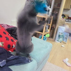 베스트 후기 이미지