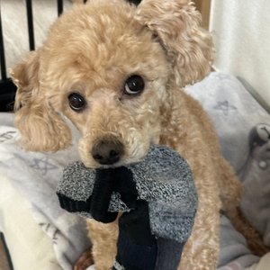 베스트 후기 이미지
