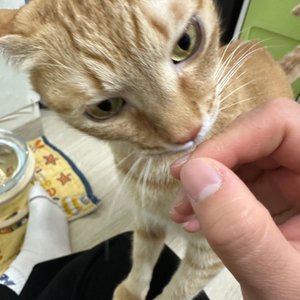 베스트 후기 이미지
