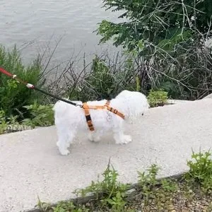 베스트 후기 이미지