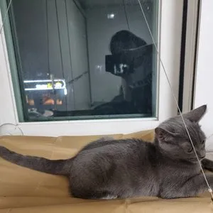 베스트 후기 이미지