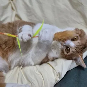 베스트 후기 이미지