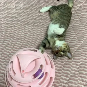 베스트 후기 이미지