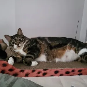 베스트 후기 이미지