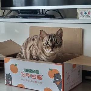 베스트 후기 이미지