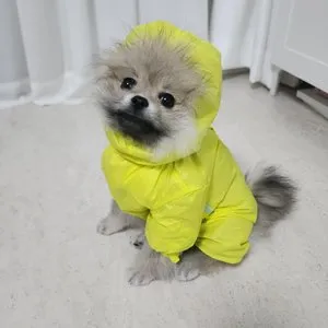 베스트 후기 이미지