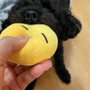 베스트 후기 이미지