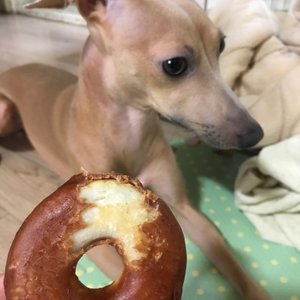 베스트 후기 이미지