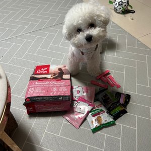 베스트 후기 이미지