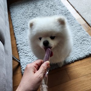 베스트 후기 이미지