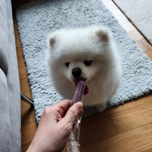 호랑이 독 유산균껌 딸기&바나나&블루베리 45p  베스트 후기 이미지