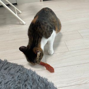 베스트 후기 이미지