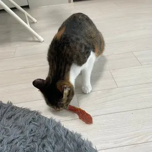 베스트 후기 이미지