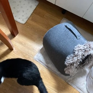 [무료배송] 딩동펫 반려동물 롱 토트 숨숨 하우스 그레이/다크그레이 M-L 베스트 후기 이미지