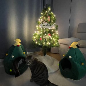 베스트 후기 이미지