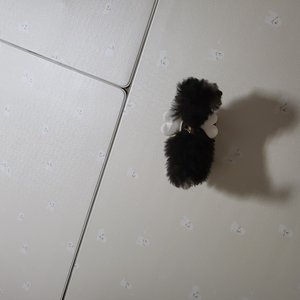 베스트 후기 이미지