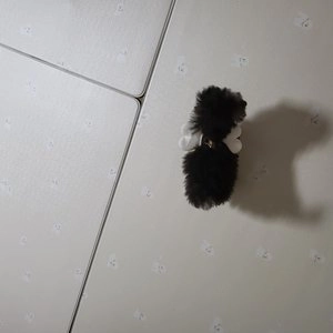 [무료배송] 이츠독 꿀벌 하네스 S-L 베스트 후기 이미지