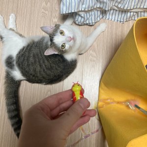 베스트 후기 이미지