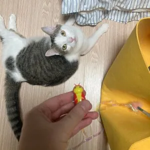 베스트 후기 이미지