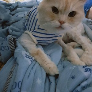 베스트 후기 이미지
