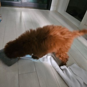 베스트 후기 이미지