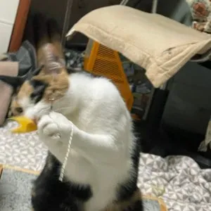 베스트 후기 이미지