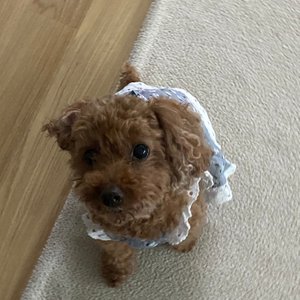 베스트 후기 이미지
