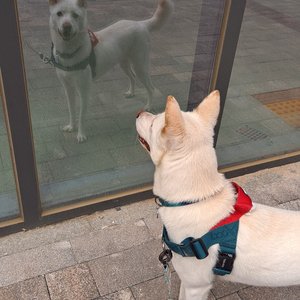 베스트 후기 이미지