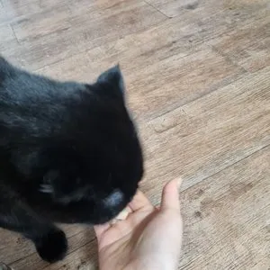 베스트 후기 이미지