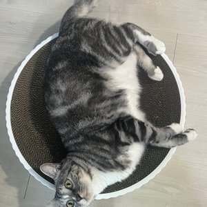 베스트 후기 이미지