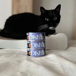 베스트 후기 이미지