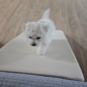 베스트 후기 이미지