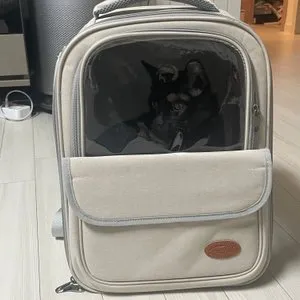 베스트 후기 이미지