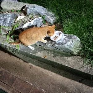 베스트 후기 이미지