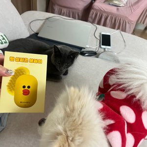 베스트 후기 이미지