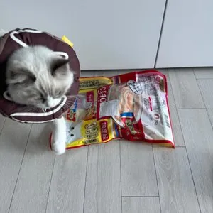 베스트 후기 이미지