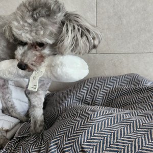 베스트 후기 이미지