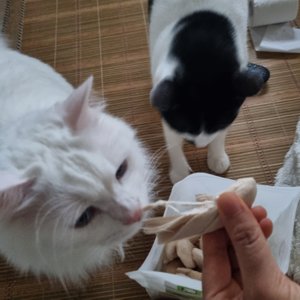 베스트 후기 이미지