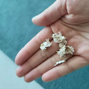 베스트 후기 이미지