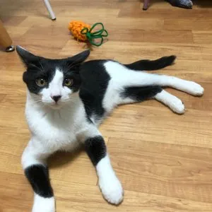 베스트 후기 이미지